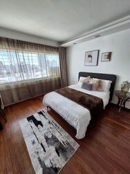 Cairnhill Plaza (D9), Apartment #477864571